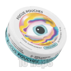 Neutonic Focus Pouches Fresh Mint – 5 x 20 Pouches